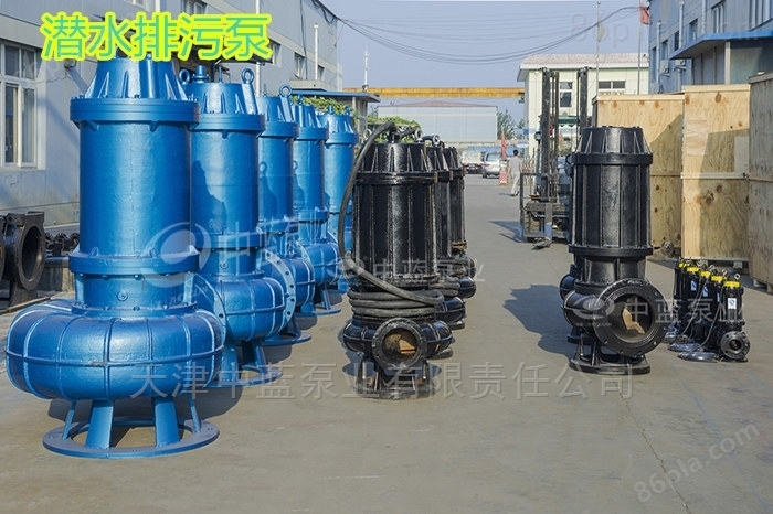 天津潜水排污泵厂家 潜污水泵价格