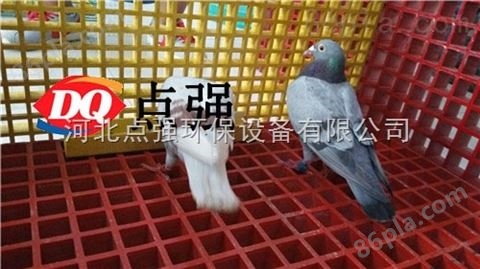 鸡棚玻璃钢格栅-宁夏鸡棚格栅-格栅生产厂家