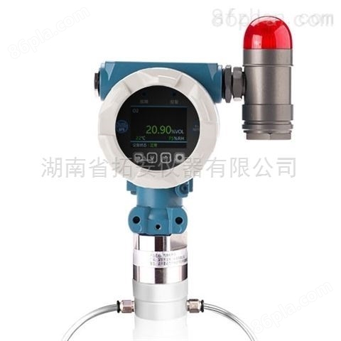 泵吸式固定安装氦气气体检测仪